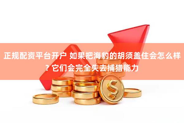 正规配资平台开户 如果把海豹的胡须盖住会怎么样? 它们会完全失去捕猎能力