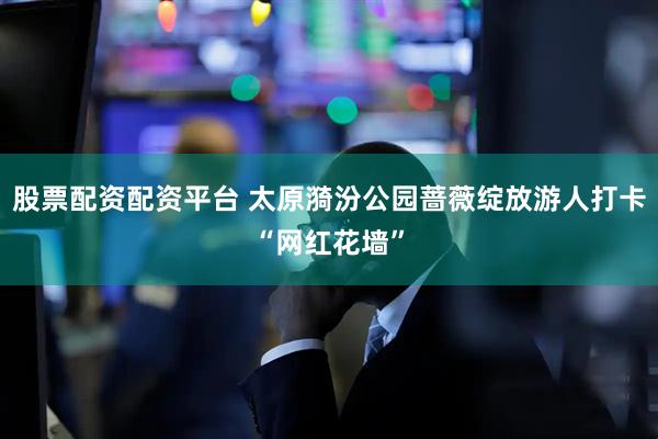 股票配资配资平台 太原漪汾公园蔷薇绽放游人打卡“网红花墙”